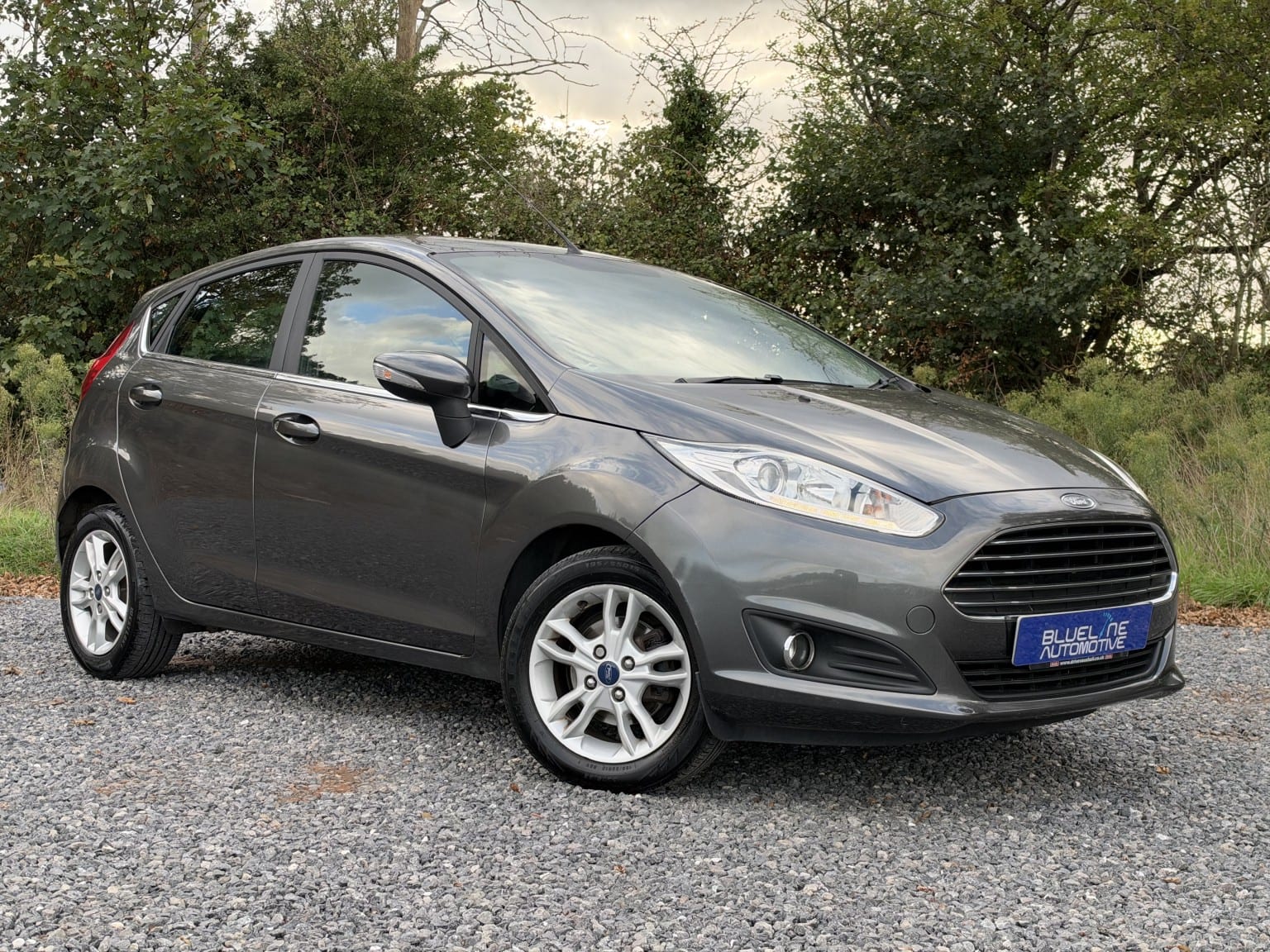 Ford Fiesta - image 1 of 41