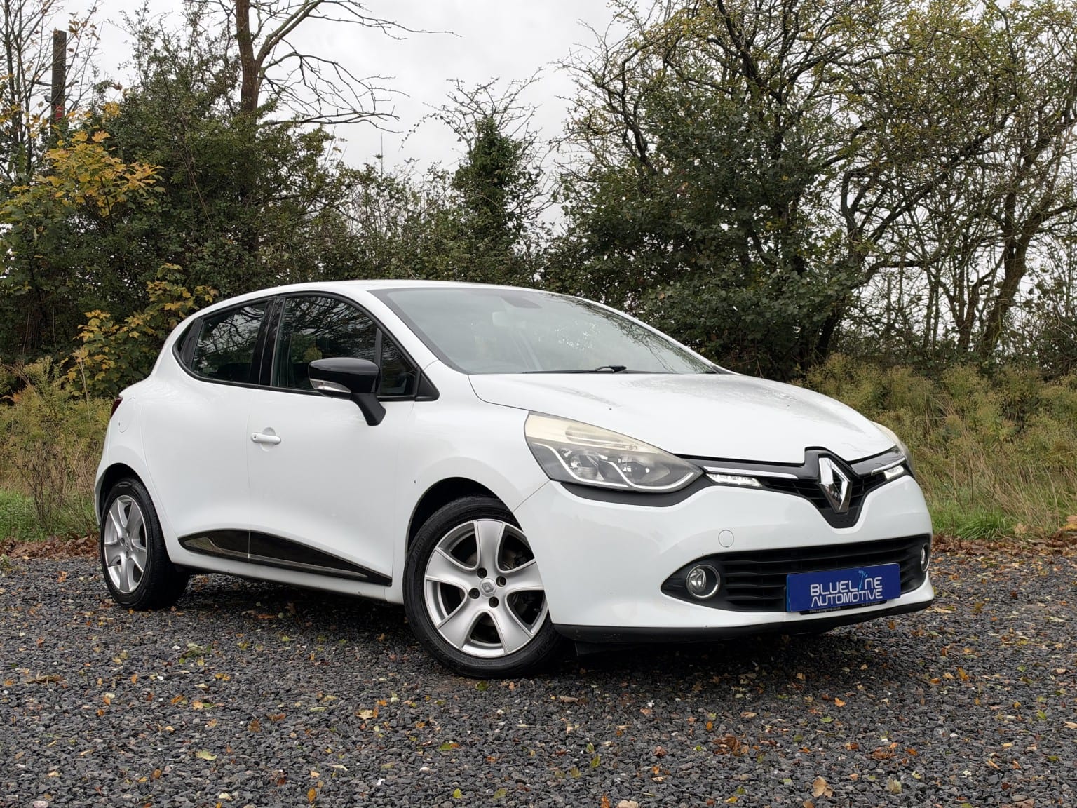 2014 Renault Clio 0.9 Dynamique MediaNav Eco TCe 90 Stop in white — photo 1 of 55