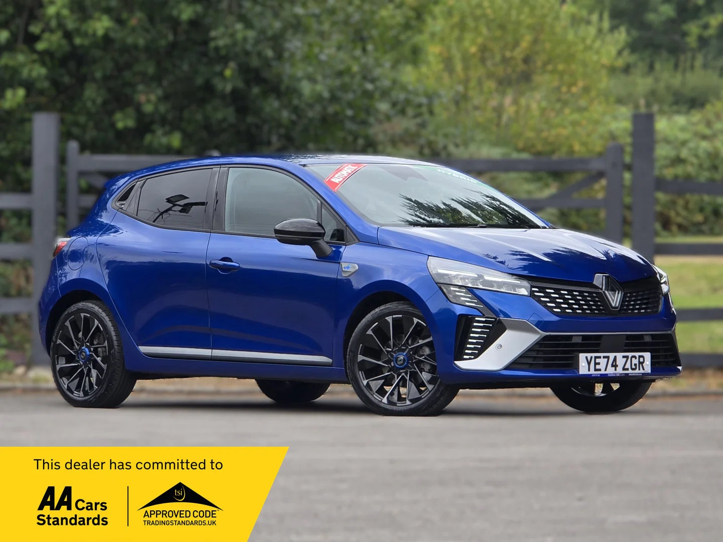 Renault Clio - image 1 of 31