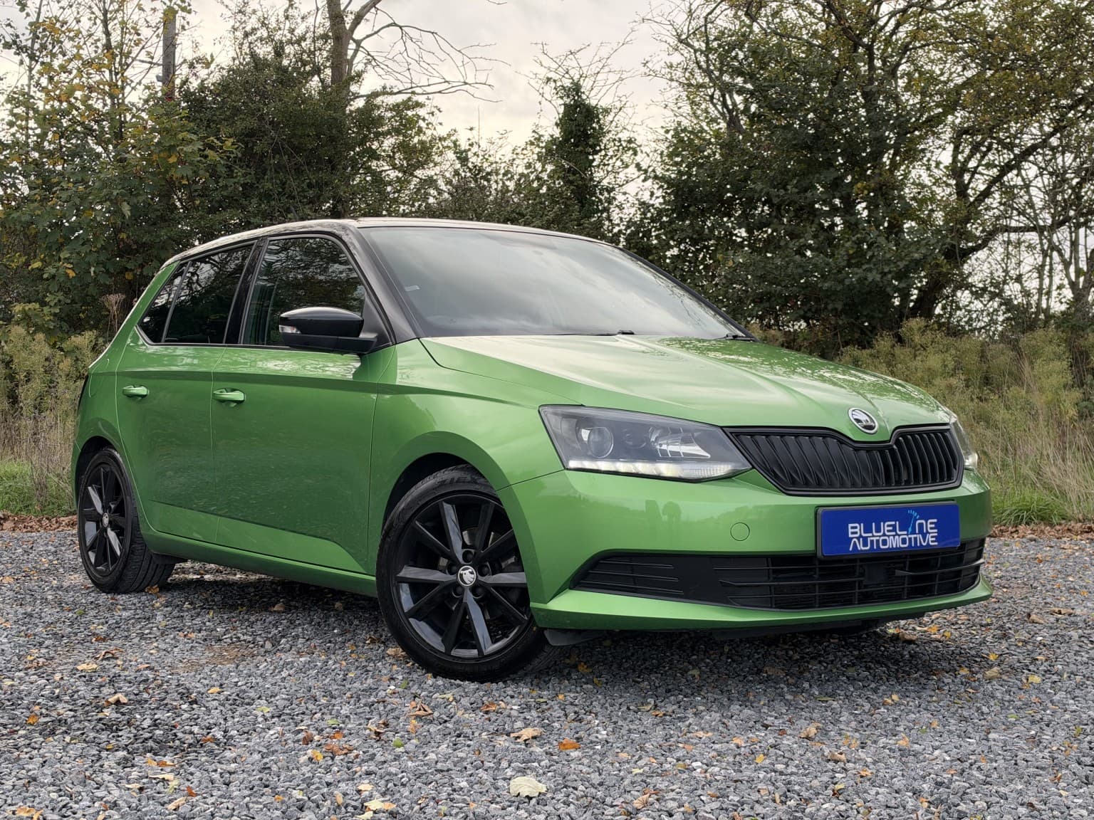Skoda Fabia - image 1 of 50