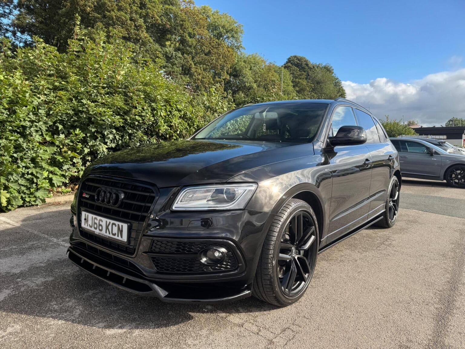Audi SQ5 - image 1 of 85