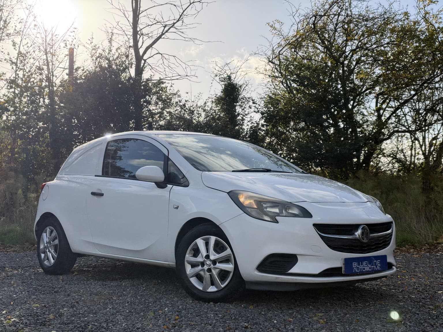 2017 Vauxhall Corsa Van 1.3 CDTi — photo 1 of 43
