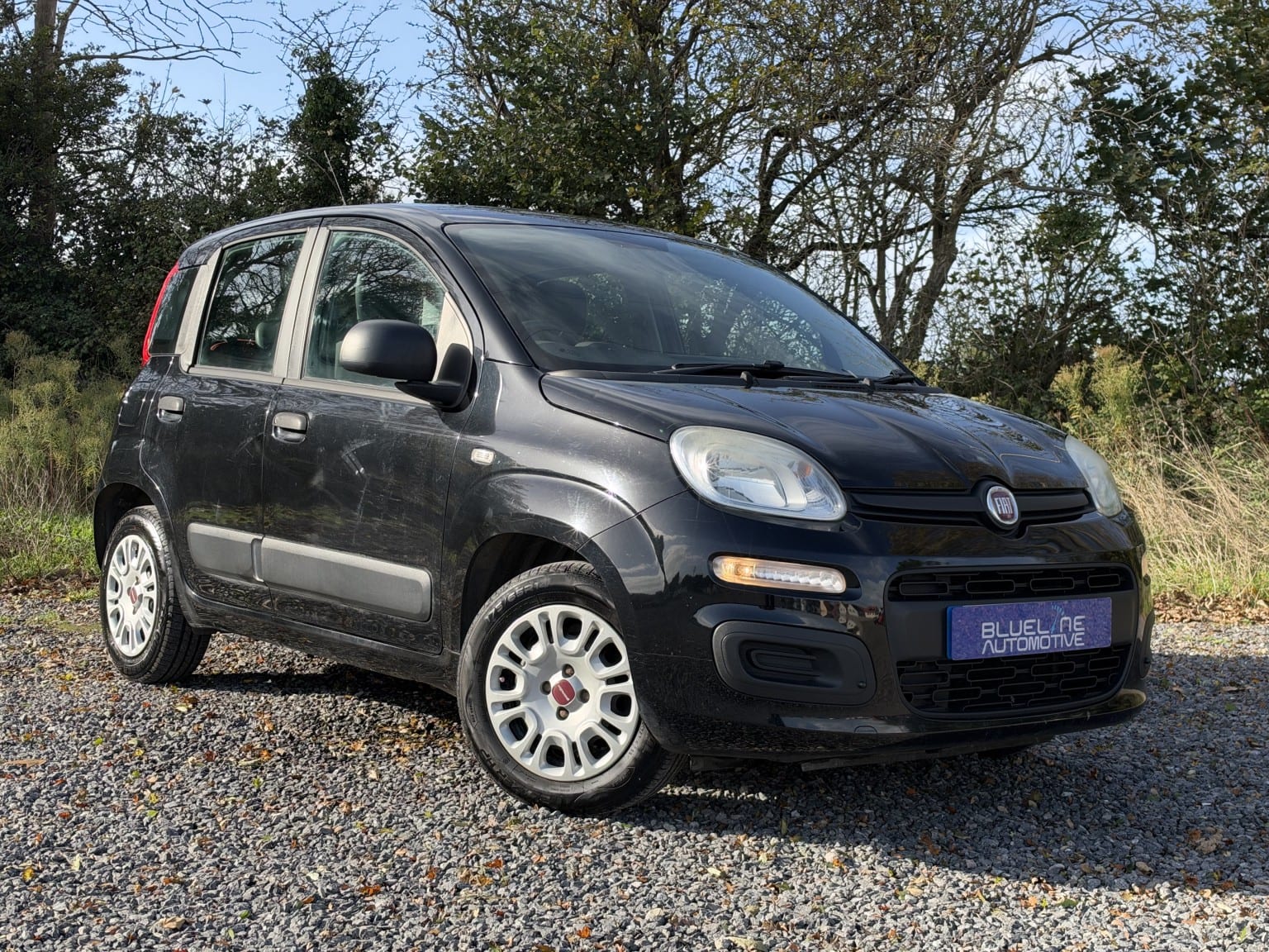2012 Fiat Panda 1.2 Panda 1.2 69 Bhp Pop in black — photo 1 of 41