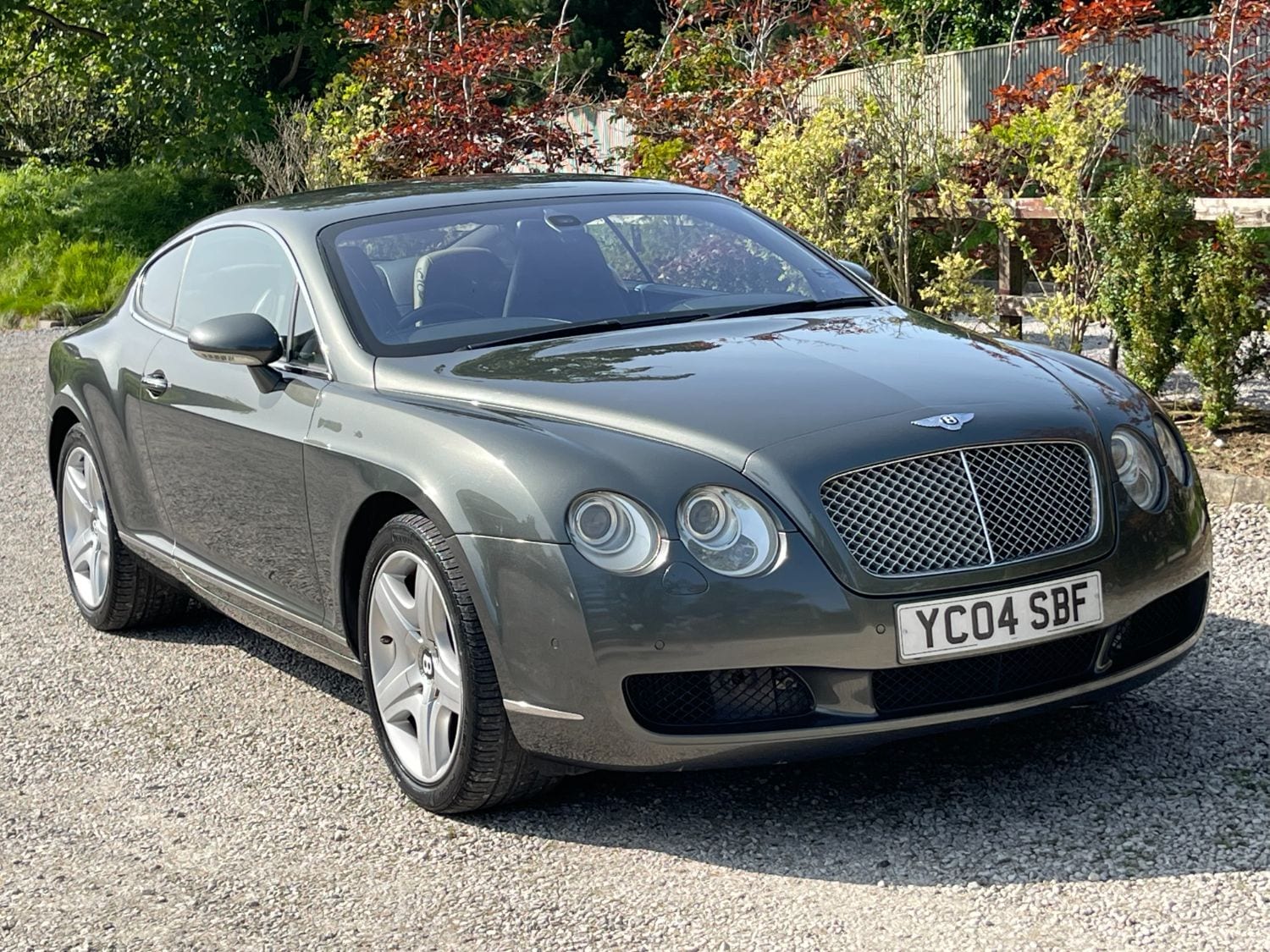 Bentley Continental - image 1 of 20