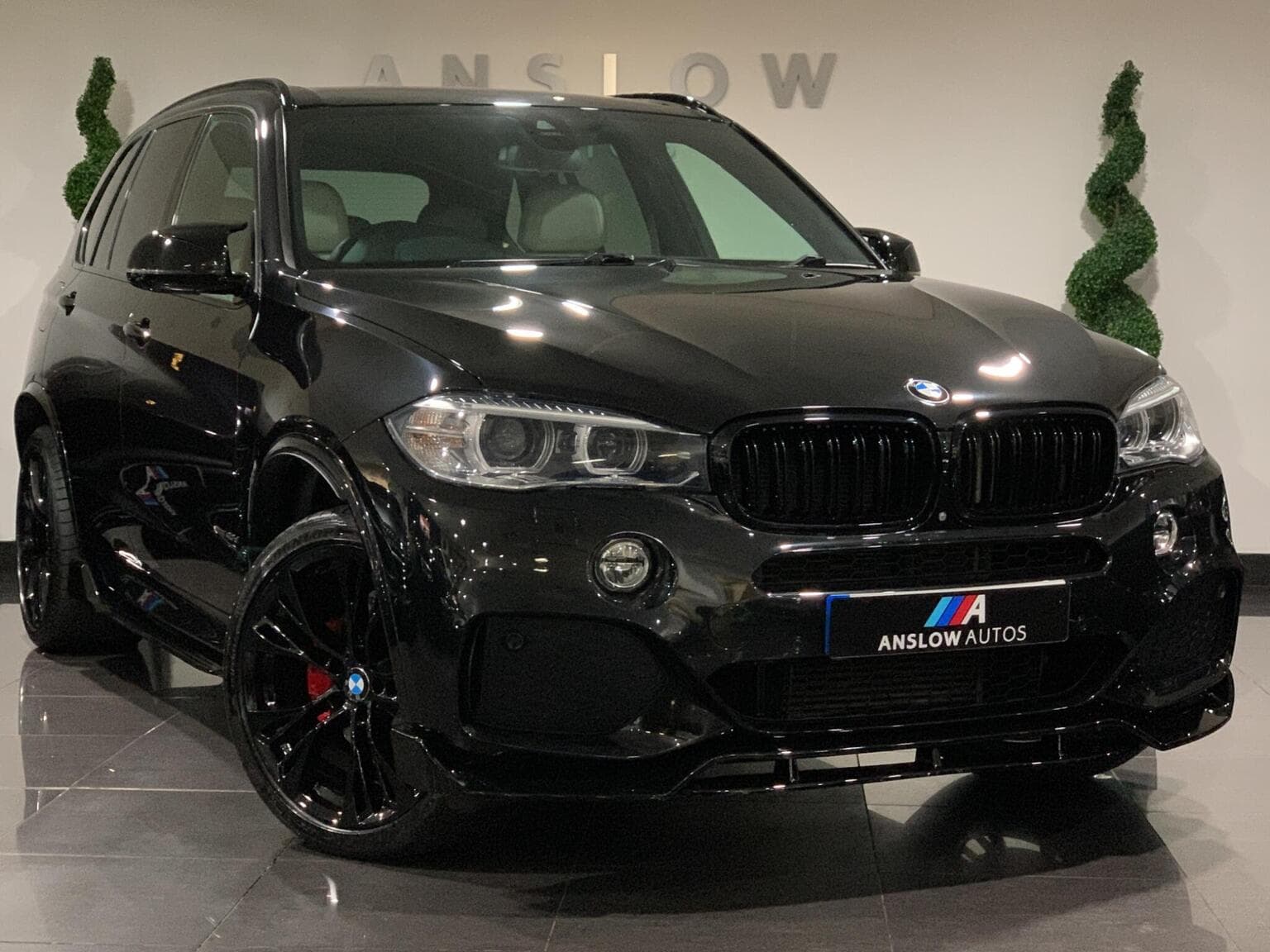 BMW X5 - image 1 of 100