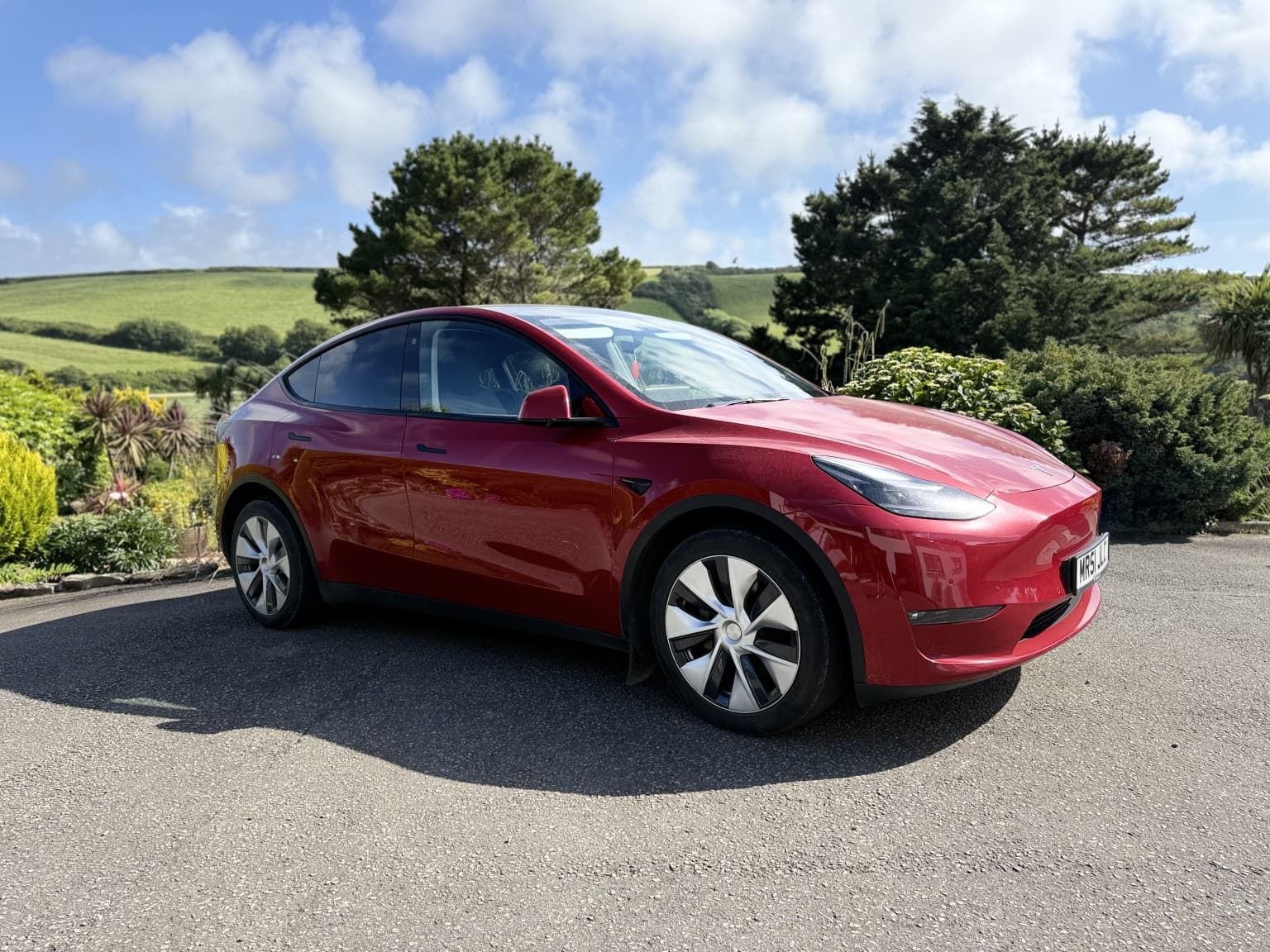 Tesla Model Y - image 1 of 1