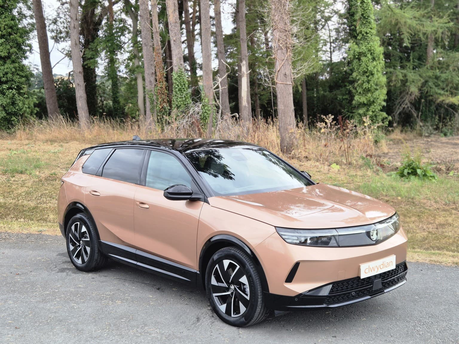Vauxhall Grandland Electric - image 1 of 35