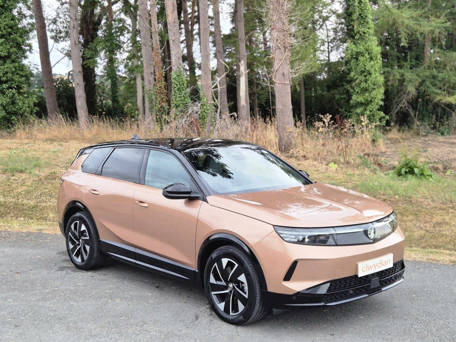 Vauxhall Grandland Electric - image 1 of 35
