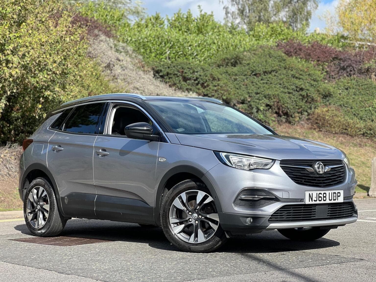 Vauxhall Grandland X - image 1 of 41