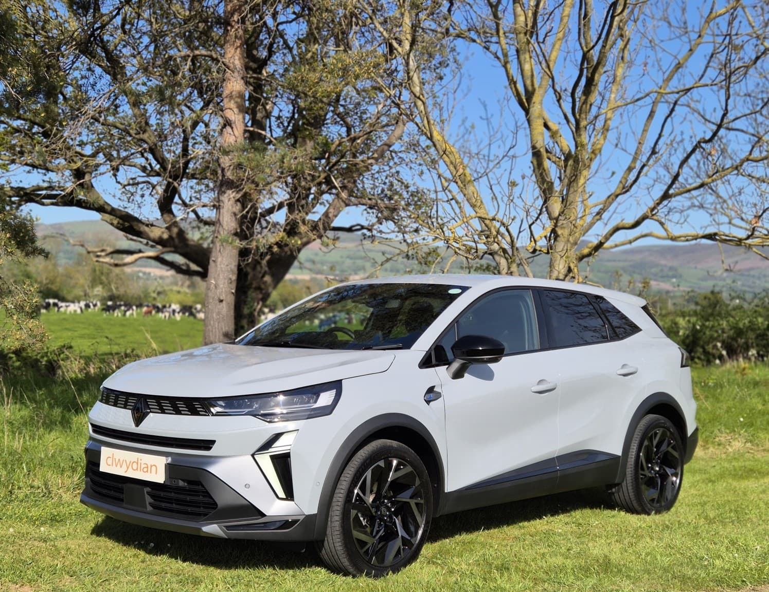 Renault Symbioz - image 1 of 38