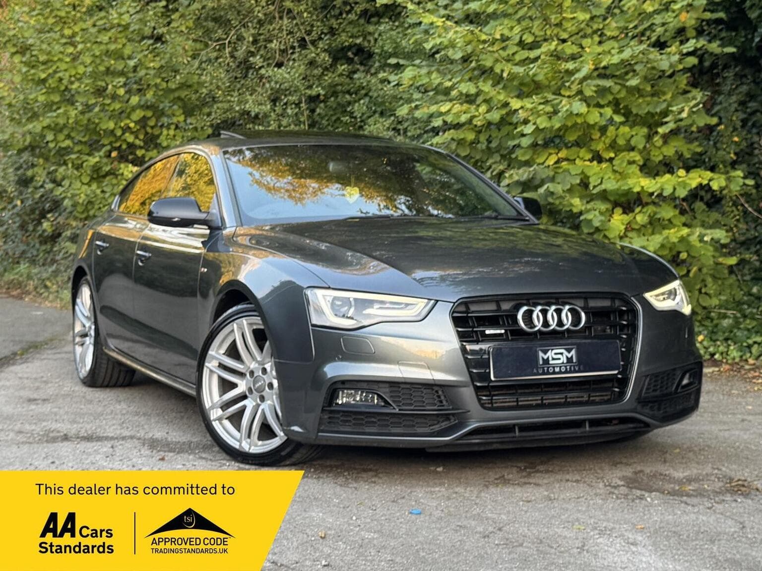 Audi A5 - image 1 of 96