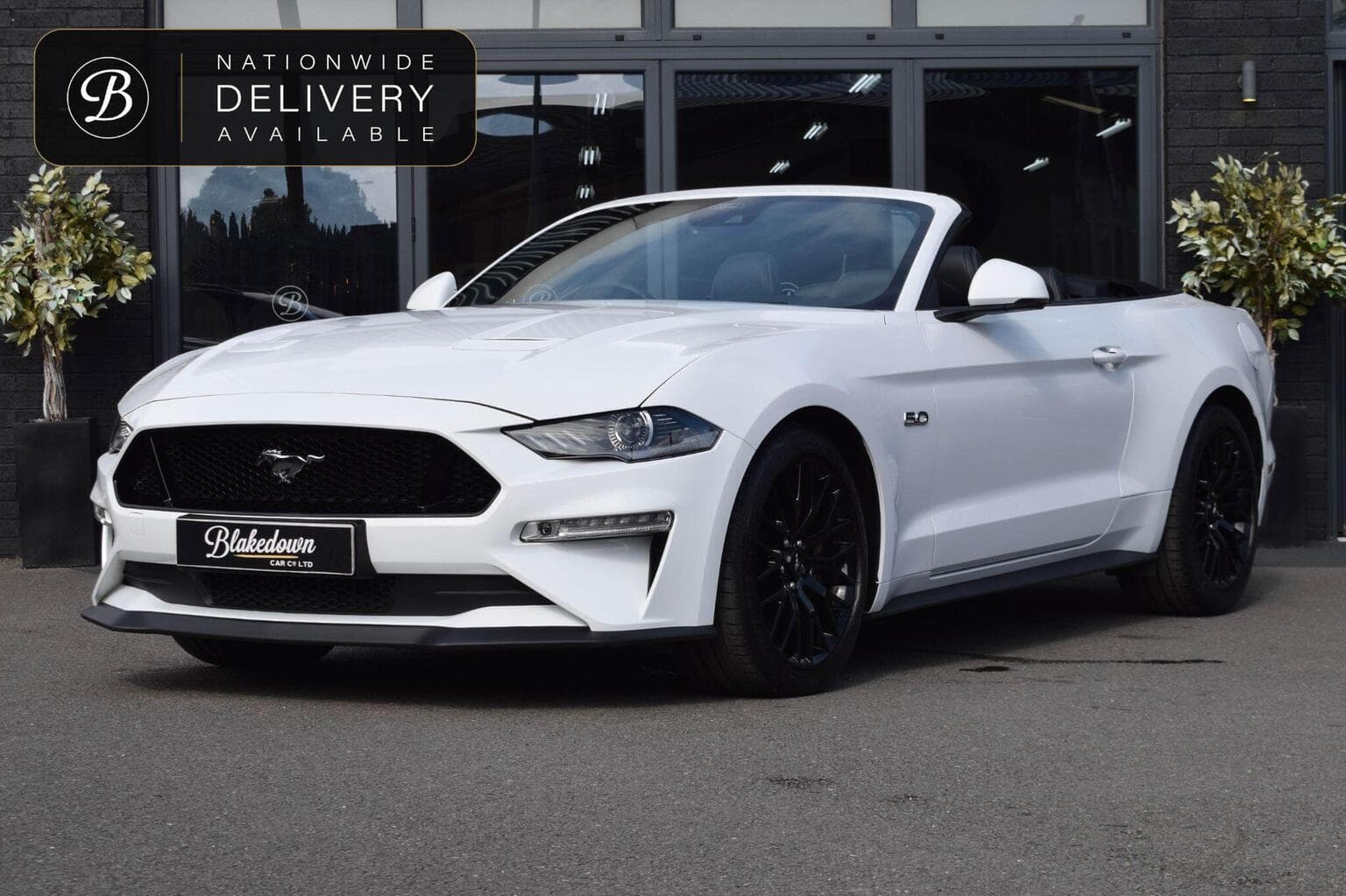 Ford Mustang - image 1 of 65