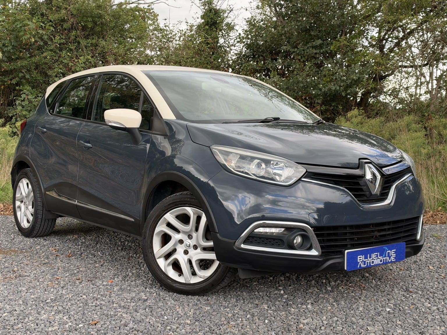 Renault Captur - image 1 of 48