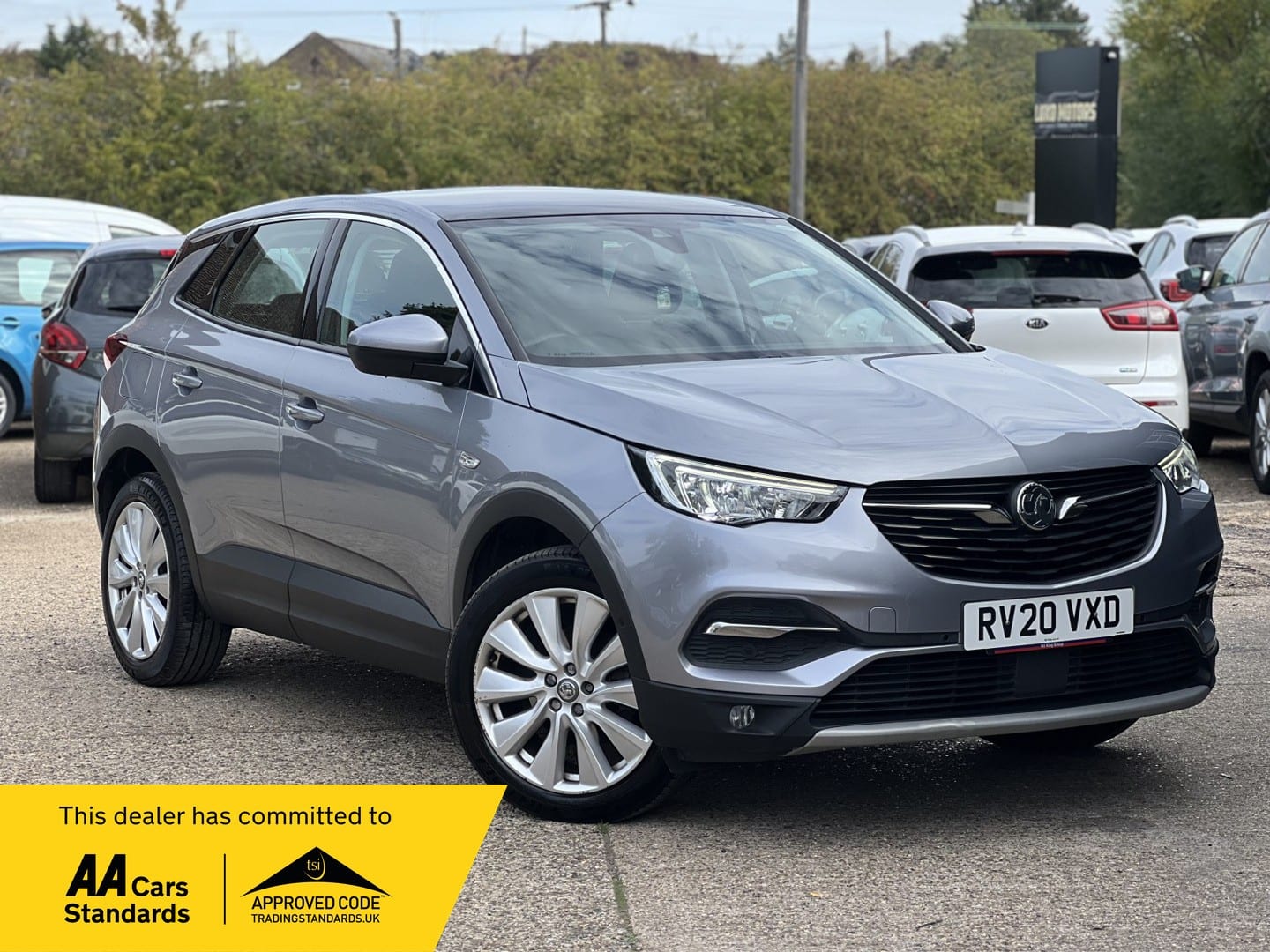 Vauxhall Grandland X - image 1 of 72