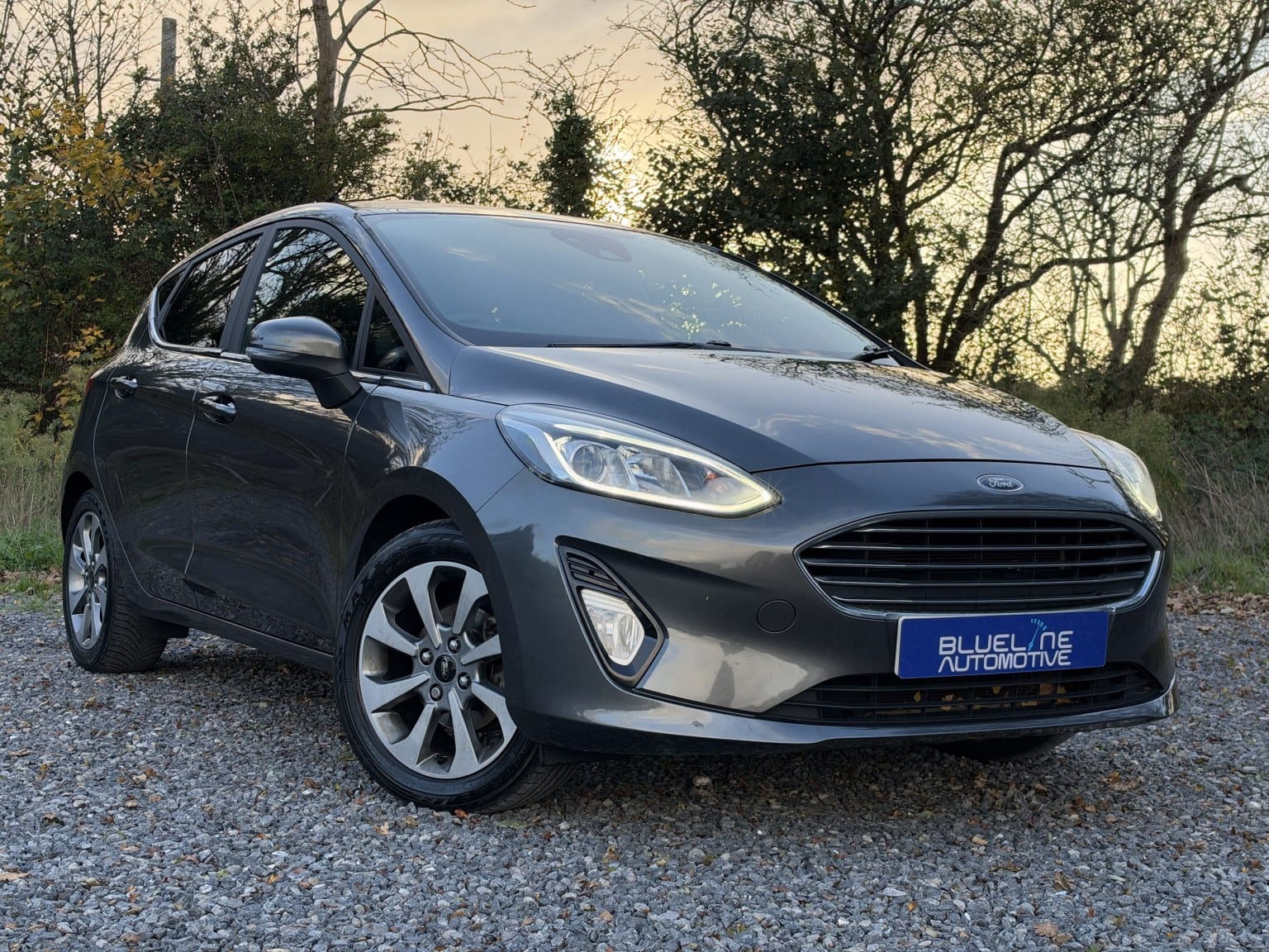2017 Ford Fiesta 1.1 Ti-VCT Zetec in grey — photo 1 of 49