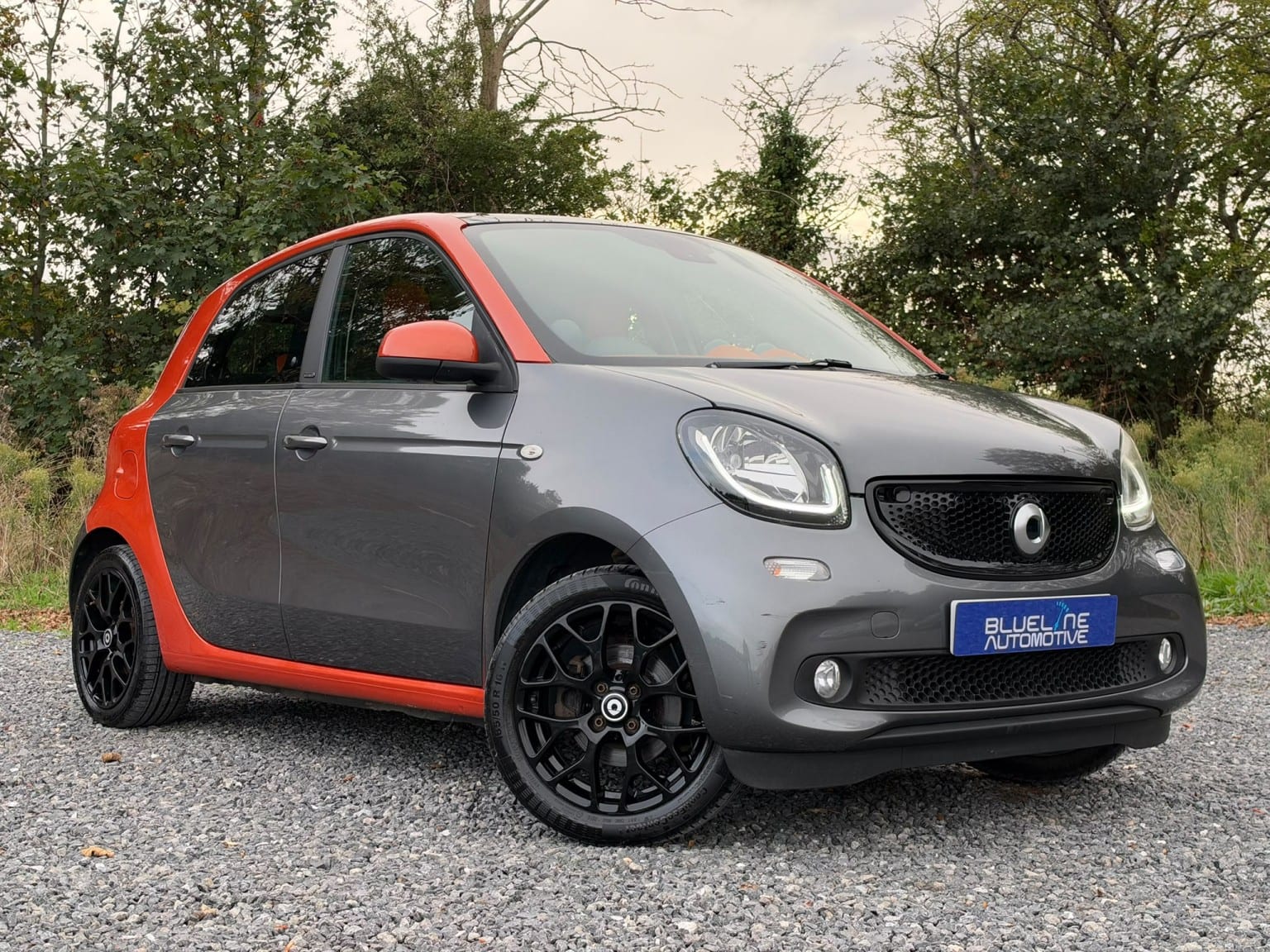 Smart Forfour - image 1 of 47