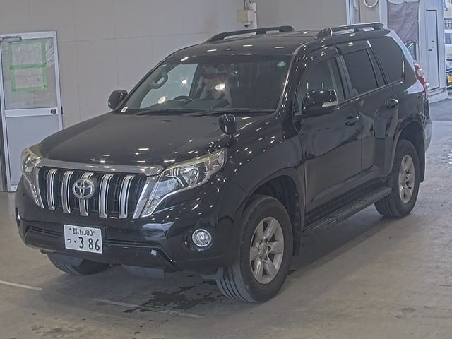 Toyota Land Cruiser - image 1 of 3