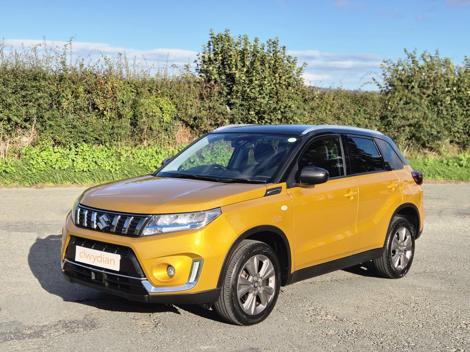 Suzuki Vitara - image 1 of 33